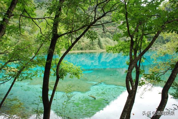 四川必去十大景点排名，四川值得一去的10个地方推荐