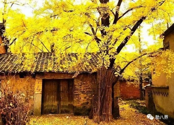 广东旅游必去十大景点自驾游（广东10大最美自驾线路）