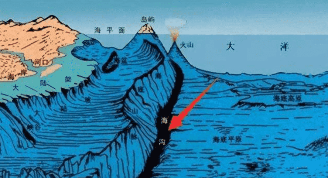 地球最强生物第一名，它走出地球也能活
