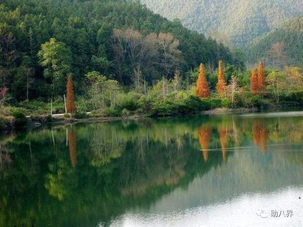广东旅游必去十大景点自驾游（广东10大最美自驾线路）