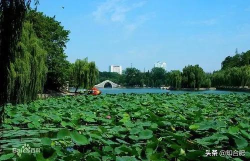 合肥有什么好玩的地方景点推荐，分享这10大经典网红打卡点