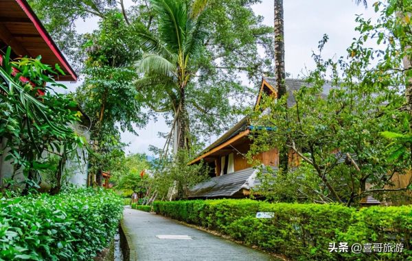 西双版纳十大旅游景点有哪些?自驾游玩如何安排行程路线? 西双版纳十大旅游景点有哪些?自驾游玩如何安排行程路线?