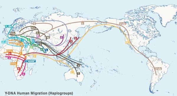 中国第一个人类是谁生的，首个中国人从哪儿来？
